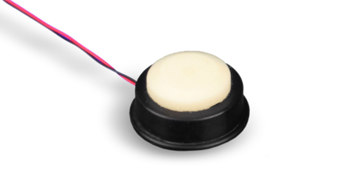 Sensor für die Ultraschall-Durchflussmessung