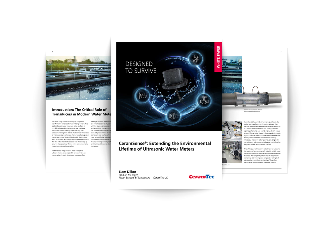 Preview and insight into the ultrasonic white paper on water meters by Liam Dillon